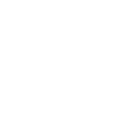 list item image